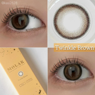 MOLAK 1day Twinkle Brown モラク ワンデー トゥインクルブラウン